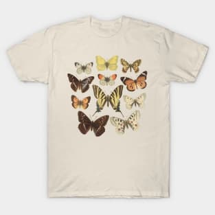 Museum Butterflies T-Shirt